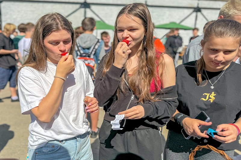 Piknik – Festiwal Pieniądza